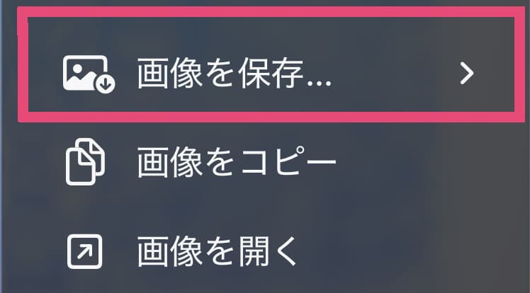 Chrome on iPhone: image context menu in Japanese
