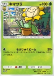 Sunflora