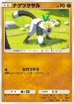 Passimian