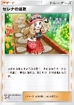 Serena's Choice